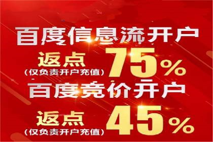 百度SEO推广案例解析与效果评估